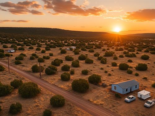 1.13 Acre in Concho, $200/Mo : Concho : Apache County : Arizona