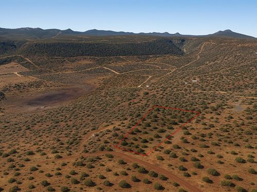 1.71 Acre in Concho, $250/Mo : Concho : Apache County : Arizona