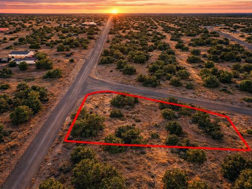 .62 Acre Highway Frontage : Concho : Apache County : Arizona