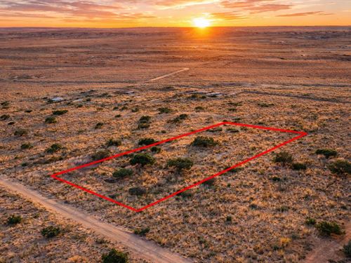 1.04 Acre Mountain Views, $150/Mo : Saint Johns : Apache County : Arizona