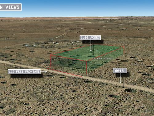 1.04 Acre in Saint Johns, $150/Mo : Saint Johns : Apache County : Arizona