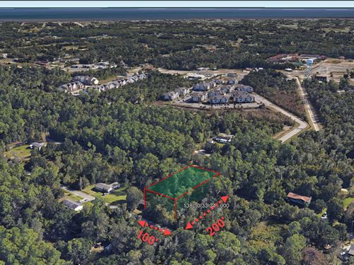 .45 Acre in Bay Saint Louis, $175 : Bay Saint Louis : Hancock County : Mississippi