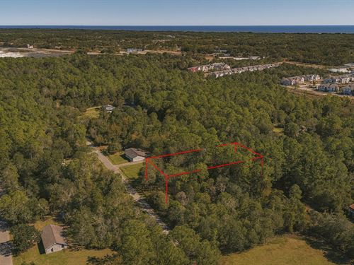 .45 Acre in Bay Saint Louis, $175 : Bay Saint Louis : Hancock County : Mississippi