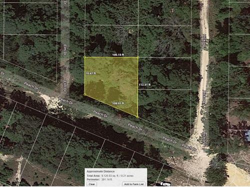 .21 Acre in Harleton, $150/Mo : Harleton : Harrison County : Texas