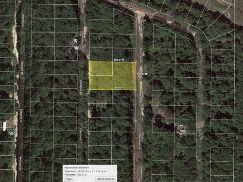 .55 Acre in Harleton, $250/Mo : Harleton : Harrison County : Texas