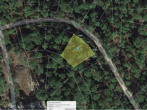 .19 Acre in Brookeland, $225/Mo : Brookeland : Jasper County : Texas