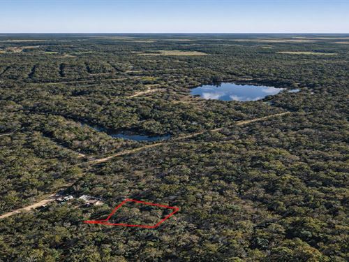 .69 Acre Wooded Private Retreat : Cleveland : Liberty County : Texas