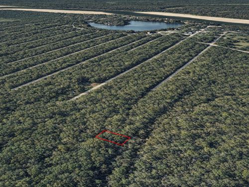 .12 Acre Wooded Lot Near Old River : Cleveland : Liberty County : Texas