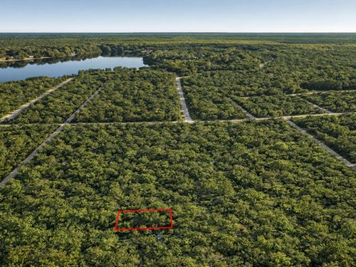.13 Acre Close to Trinity River : Dayton : Liberty County : Texas