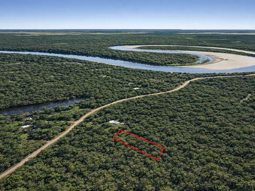 .72 Acre Wooded Lot Near Trinity : Dayton : Liberty County : Texas