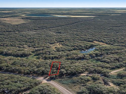 .19 Acre in Liberty, $150/Mo : Liberty : Texas