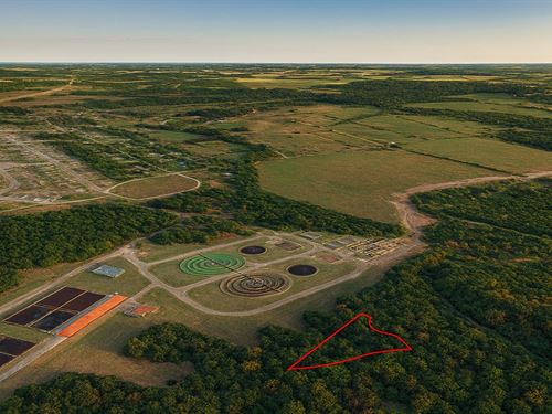 .46 Acre in Huntsville, $350/Mo : Huntsville : Walker County : Texas