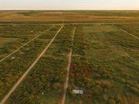 .33 Acre in Trinity, $225/Mo : Trinity : Walker County : Texas