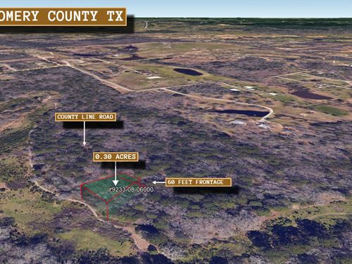 .3 Acre in Willis, $300/Mo : Willis : Montgomery County : Texas