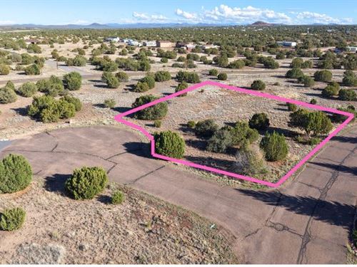 Easy Owner Finance with 8K Down : Show Low : Navajo County : Arizona