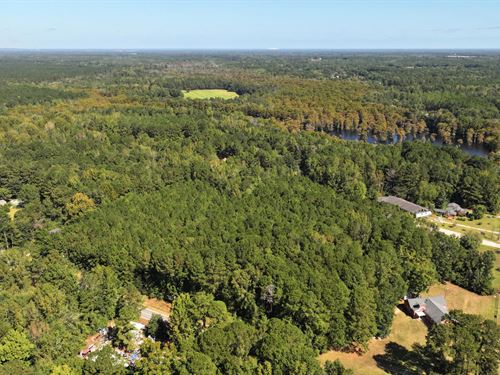 .98 Acres of Wooded Residential : Sumter : South Carolina