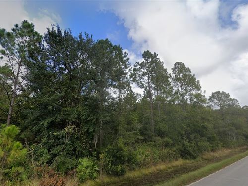 Farm-Ready Acreage Only $495/Mo : Palatka : Putnam County : Florida