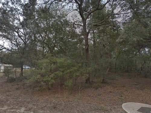 Christmas Sale 2 Lots At Brett Ave : Interlachen : Putnam County : Florida