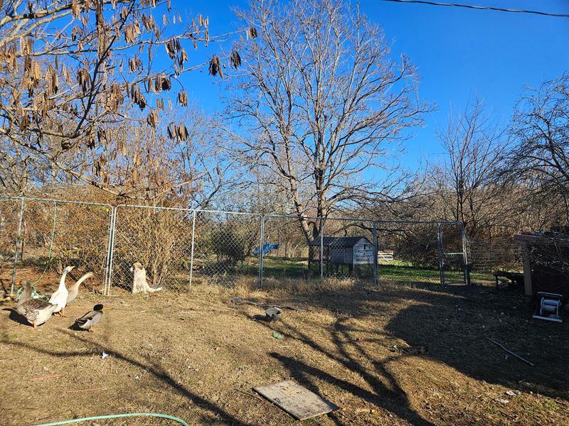 Fixer Upper with Acreage in MO : Mountain Grove : Texas County : Missouri