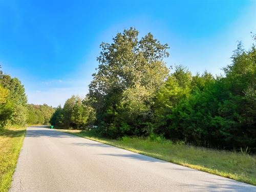 Your Dream, Your Way, Your Timeline : Horseshoe Bend : Izard County : Arkansas