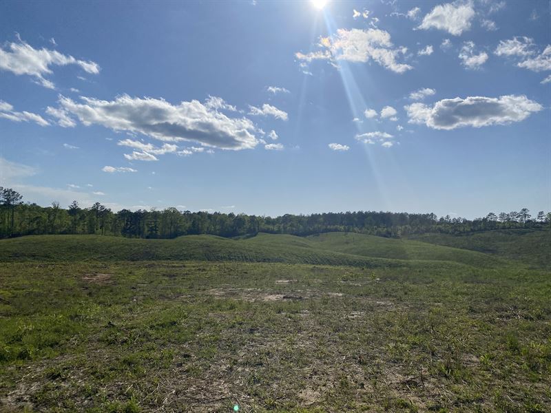 Land for Sale in Tn, 2.35 Acres : Bethel Springs : McNairy County : Tennessee