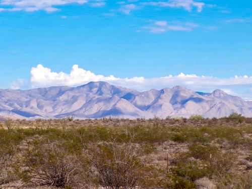 Serious Space for Simple Living : Yucca : Mohave County : Arizona