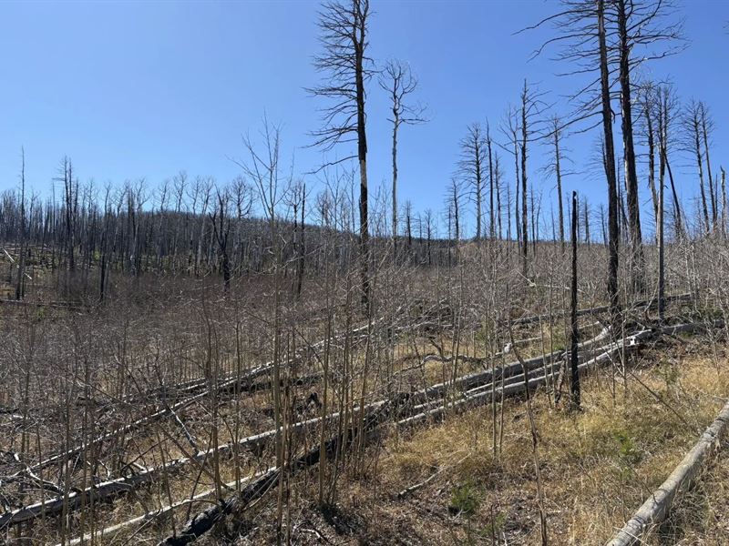 842 Slaoui, Ft Garland, CO 81133 : Fort Garland : Costilla County : Colorado