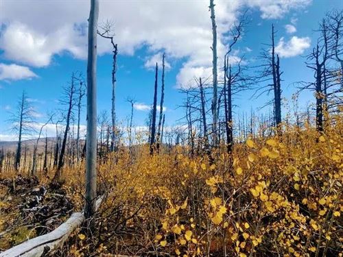 Galbreath Lane, Ft Garland, CO : Fort Garland : Costilla County : Colorado