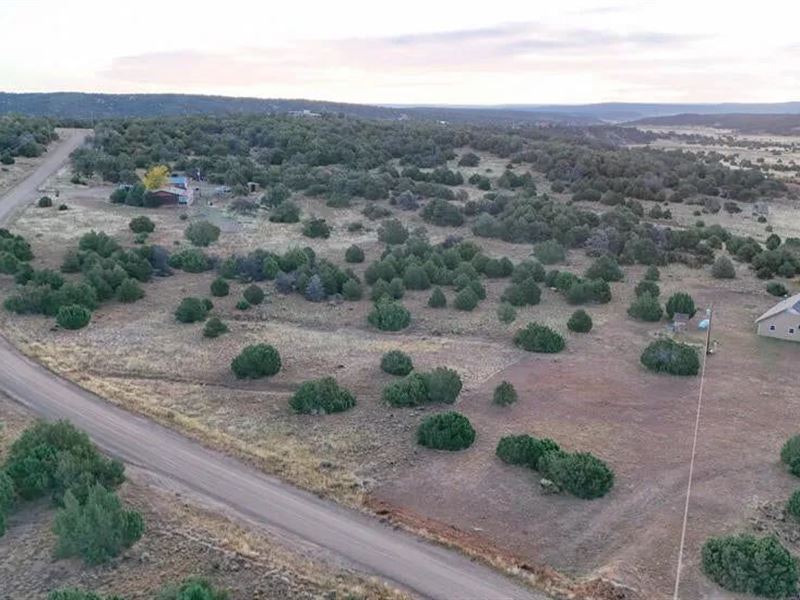 Navajo Ranch Resorts 2 Lot 133, Wal : Walsenburg : Huerfano County : Colorado