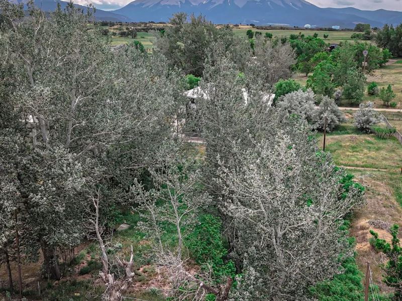 300 E Virginia Ave, Laveta, CO 8105 : La Veta : Huerfano County : Colorado