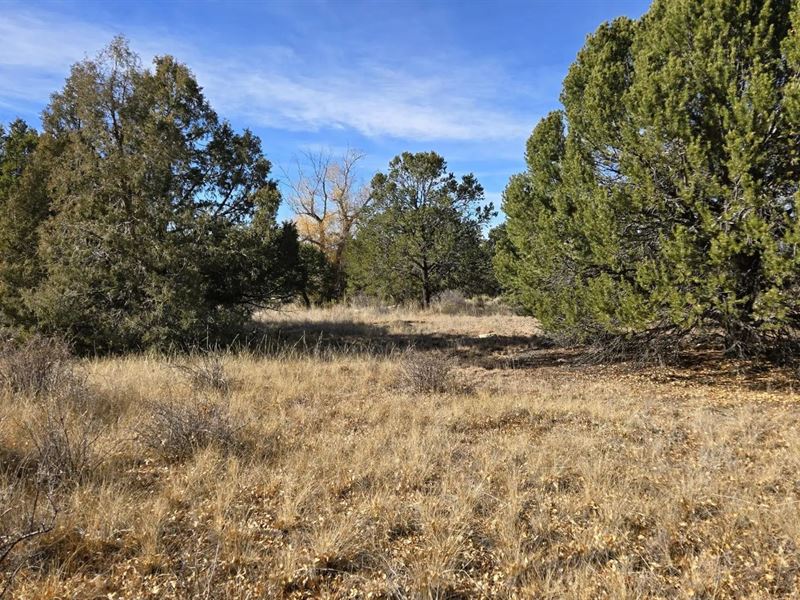 126 Cedar Ridge Rd 2, Mosca, CO 811 : Mosca : Alamosa County : Colorado