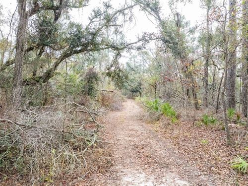 2.48 Acres FL Camp Sites : Jasper : Hamilton County : Florida