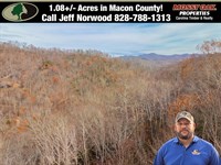 Gorgeous Lot in The Nantahala Area : Topton : Macon County : North Carolina