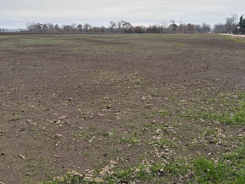 7.68 Acres in Chicot County, AR : Lake Village : Chicot County : Arkansas