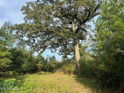 11.5 Acres North Pike School Dist : Summit : Pike County : Mississippi