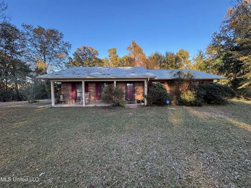 Country Home And 12 Acres in Jasper : Bay Springs : Jasper County : Mississippi