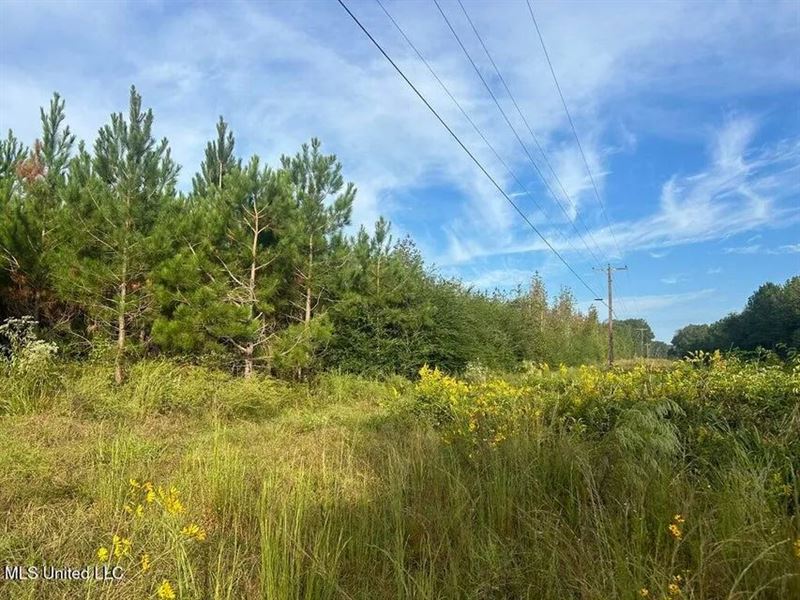 6 Acres for Sale in North Pike SC : Summit : Pike County : Mississippi