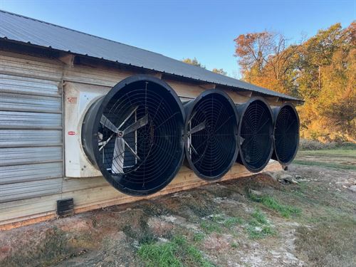 4 House Broiler Farm With Residence : Downsville : Union Parish : Louisiana