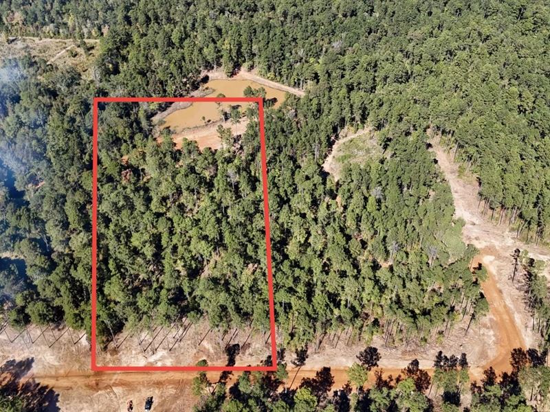 9 Acre Lot for Sale Ruston, Lincoln : Ruston : Lincoln Parish : Louisiana