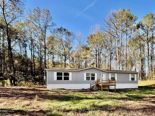 Southern Double Wide on 1.42 Acres : Summit : Pike County : Mississippi