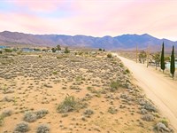 Prime 5 Acre Parcel : Chloride : Mohave County : Arizona
