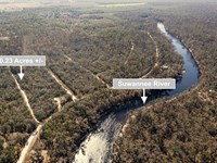 Land Near Suwannee River : Live Oak : Suwannee County : Florida