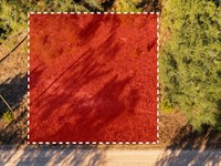 Cleared Land Near Suwannee River : Live Oak : Suwannee County : Florida