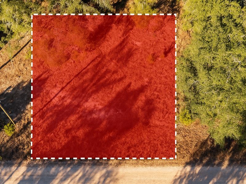 Cleared Land Near Suwannee River : Live Oak : Suwannee County : Florida