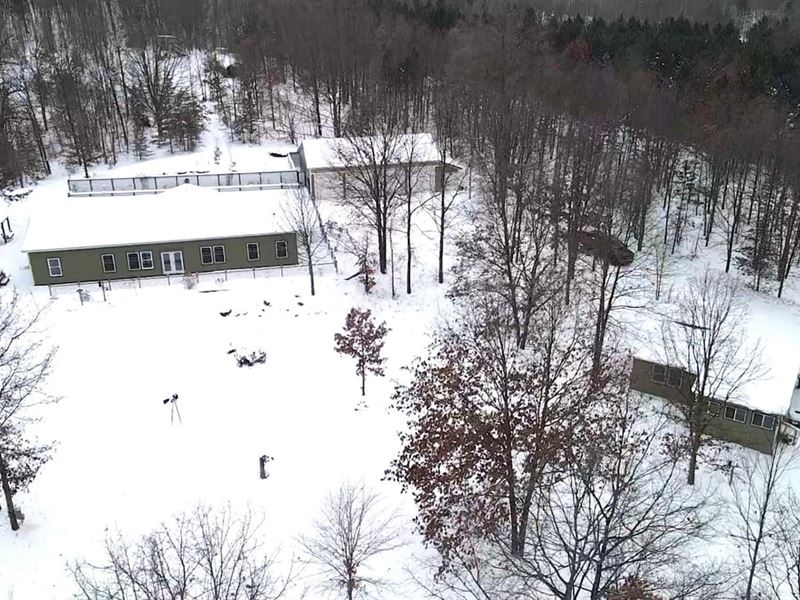 18 Acre Missaukee County Estate : Manton : Missaukee County : Michigan