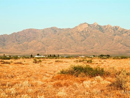 Easygoing Wilderness Living : Deming : Luna County : New Mexico