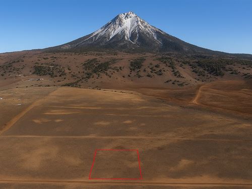 1 Acre High Desert, $175/Mo : Concho : Apache County : Arizona