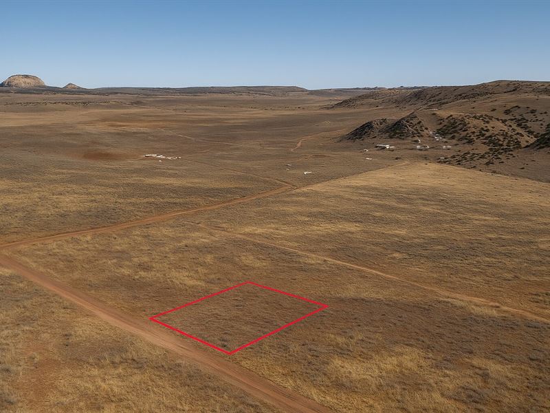 1 Acre Private Getaway, $150/Mo : Concho : Apache County : Arizona