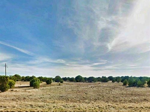 .27 Acre, Mountain Views, $200 : Show Low : Navajo County : Arizona