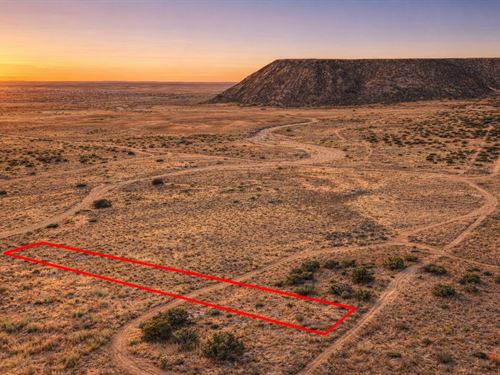 1.10 Acre Mountain Views : Snowflake : Navajo County : Arizona